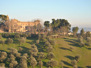 COMUNE DI SPOLTORE: COMUNICATO STAMPA