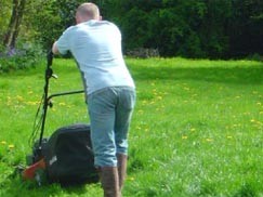 Obbligo di pulizia dei terreni incolti