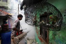 Avviso: marted&igrave; 25 giugno disinfestazione dalle ore 24:00 in poi