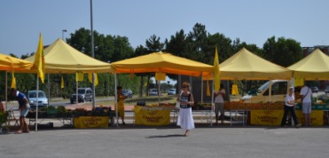 Variazione dei mercati cittadini di Santa Teresa e di Villa Raspa