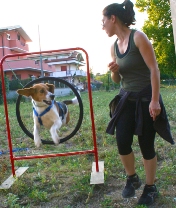 "Divertirsi con il cane - Mobility Dog" luned&igrave; 2 giugno 2014